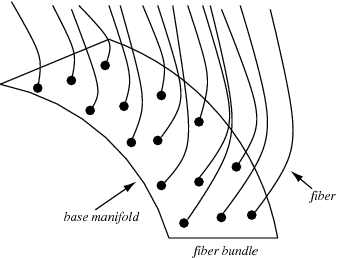 fiber bundle