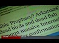 BBC dead bird biblical prophecy