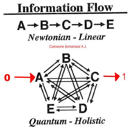 Bruce Lipton - Newtonian - Holistic Information