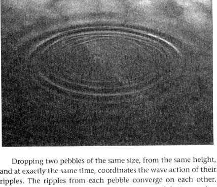 Bruce Lipton - waves