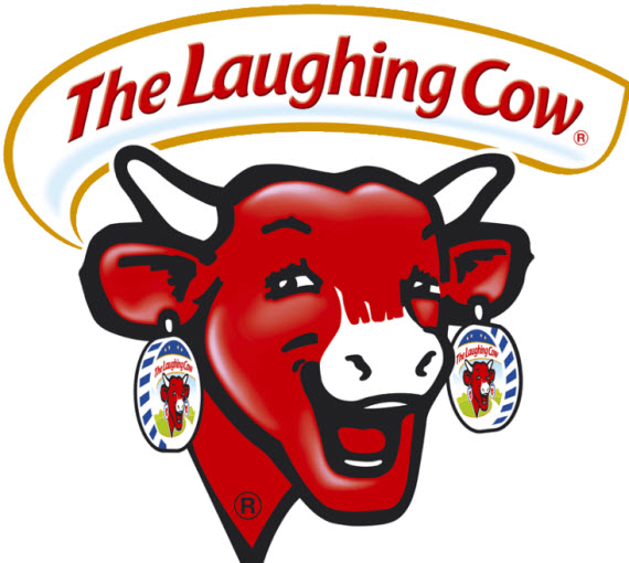Krowa sie smieje