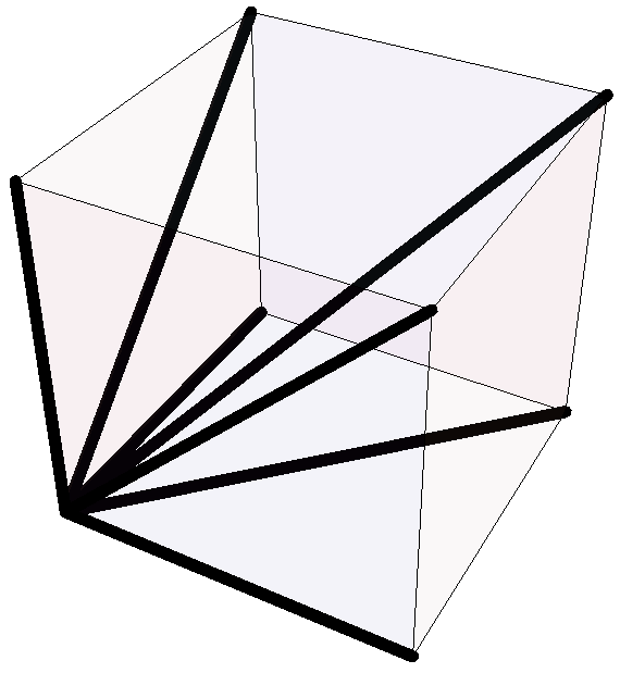 linie geometrii dwjkowej