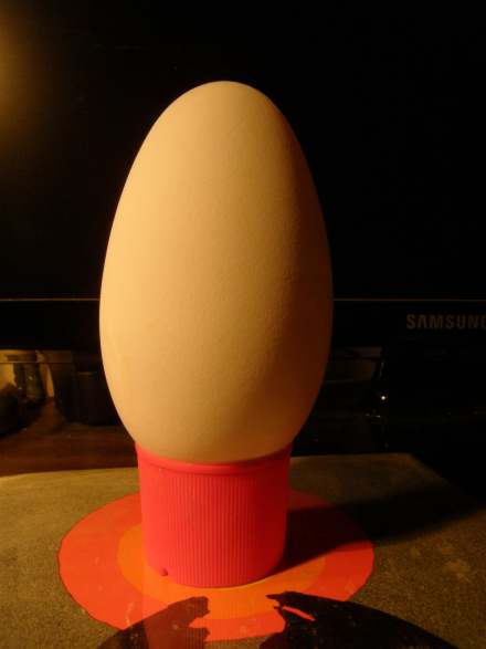 Goose egg - closeup